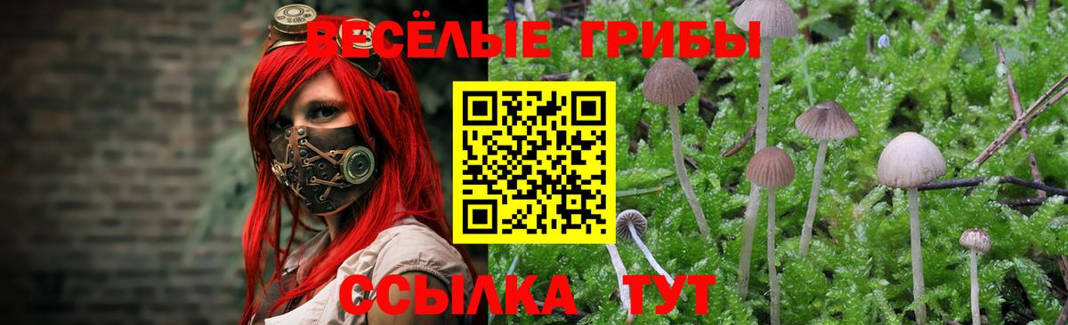 Отрадное  Галлюциногенные грибы GOLDEN TEACHER  Вход с VPN  Псилоцибиновые грибы прущие грибы 