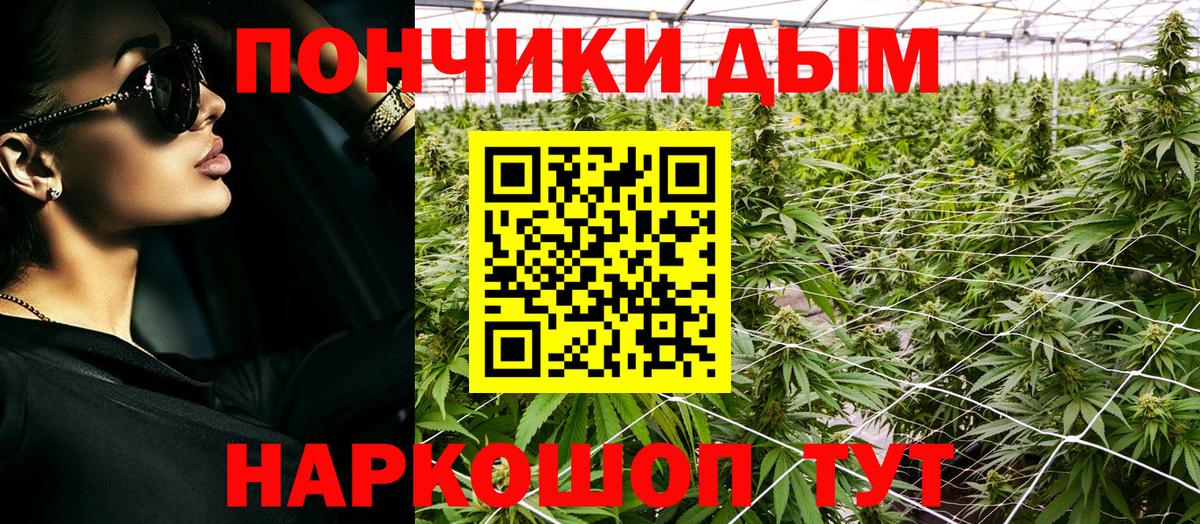 Каннабис Bruce Banner Отрадное